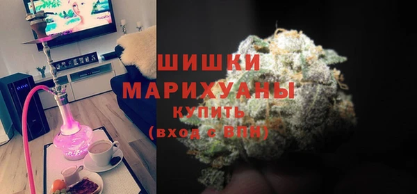 стаф Арсеньев