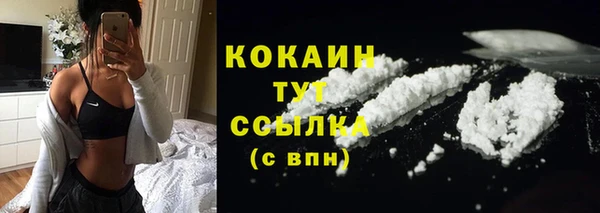 стаф Арсеньев