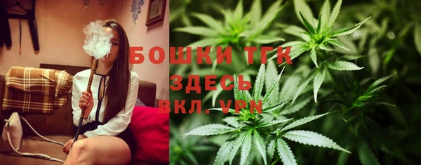 стаф Арсеньев