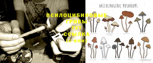 мескалин Аркадак